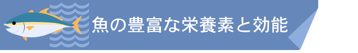 魚の豊富な栄養素と効能