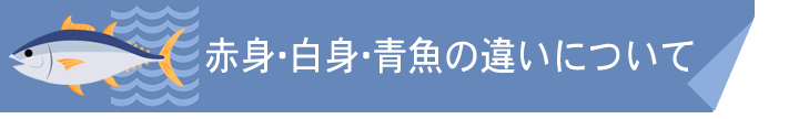 赤身・白身・青魚の違いについて