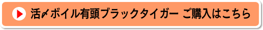 活〆ボイル有頭ブラックタイガーのご購入はこちら